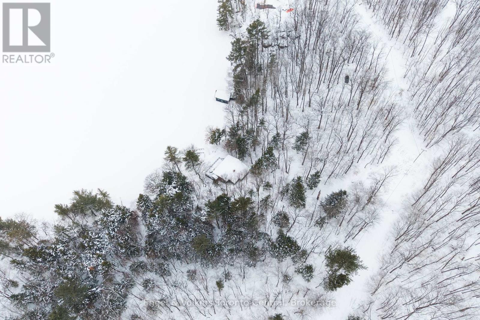 1246 Purdy Road, Muskoka Lakes, Ontario  P0B 1M0 - Photo 8 - X12925292