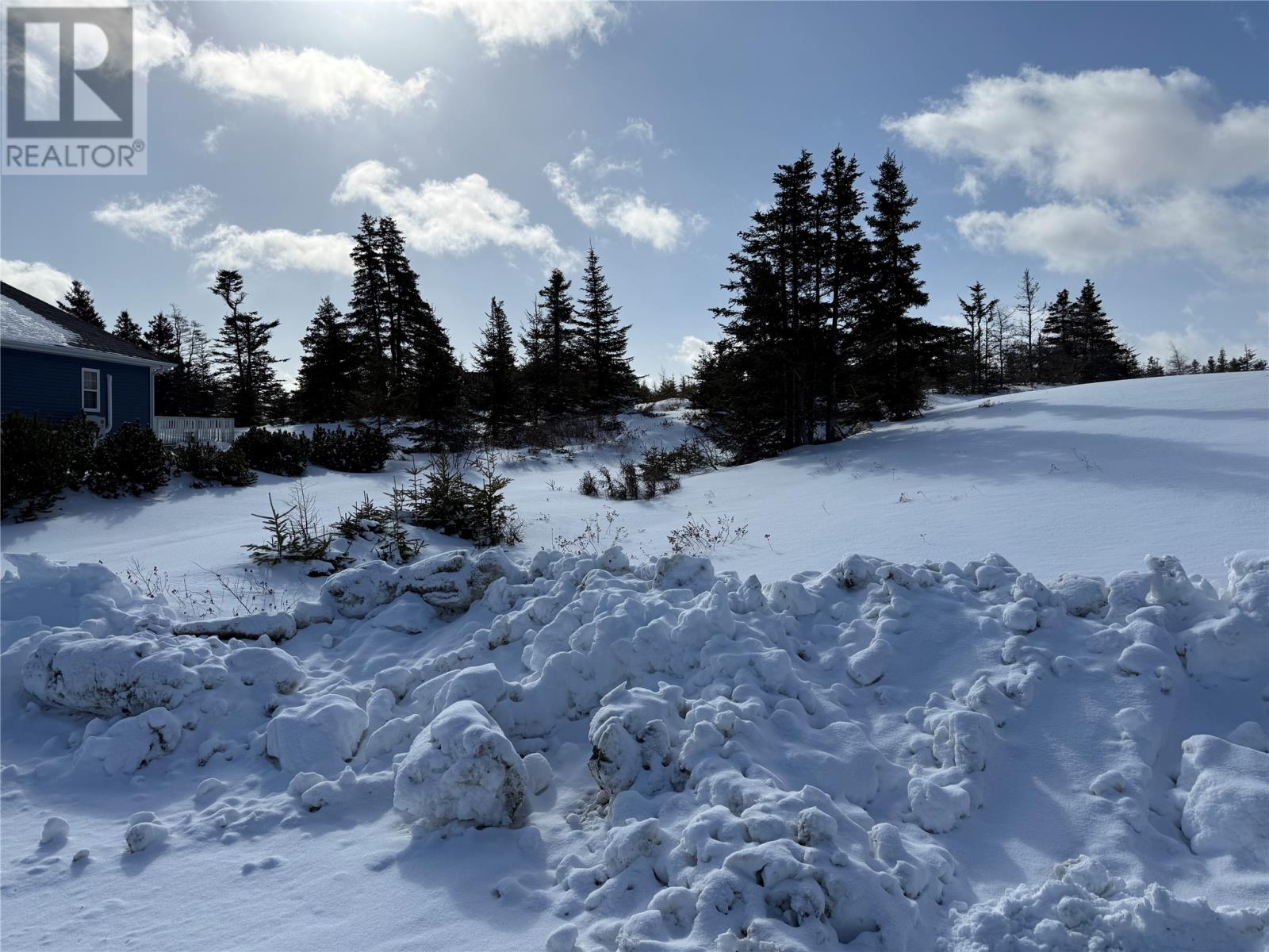 97a Chipmans Road, Spaniards Bay, Newfoundland & Labrador A0A 3X0 - Photo 3 - 1295571