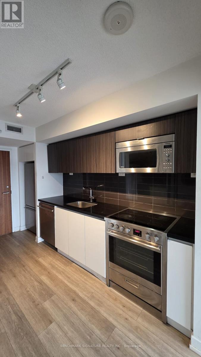 2008 - 85 Queens Wharf Road, Toronto, Ontario M5V 0J9 - Photo 9 - C12925326