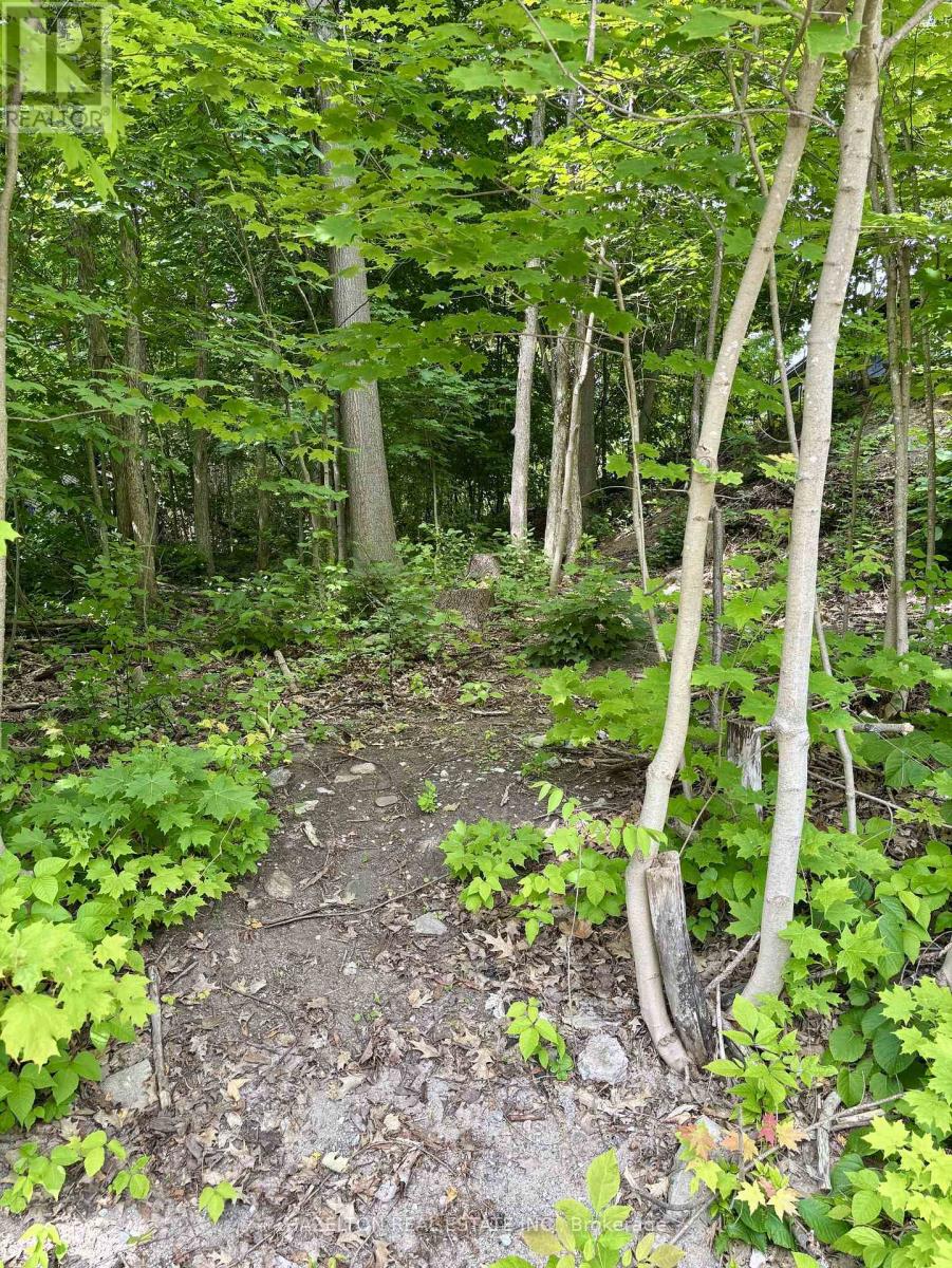 554 Barnes Avenue, Tay (Port Mcnicoll), Ontario  L0K 1R0 - Photo 2 - S12925242