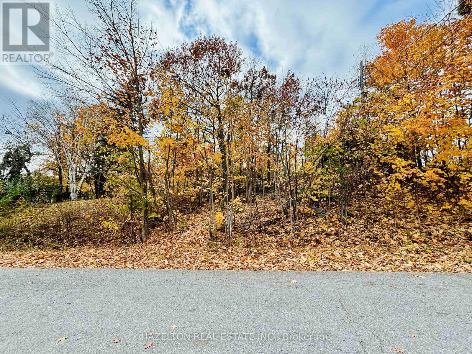 554 Barnes Avenue, Tay (Port Mcnicoll), Ontario  L0K 1R0 - Photo 3 - S12925242