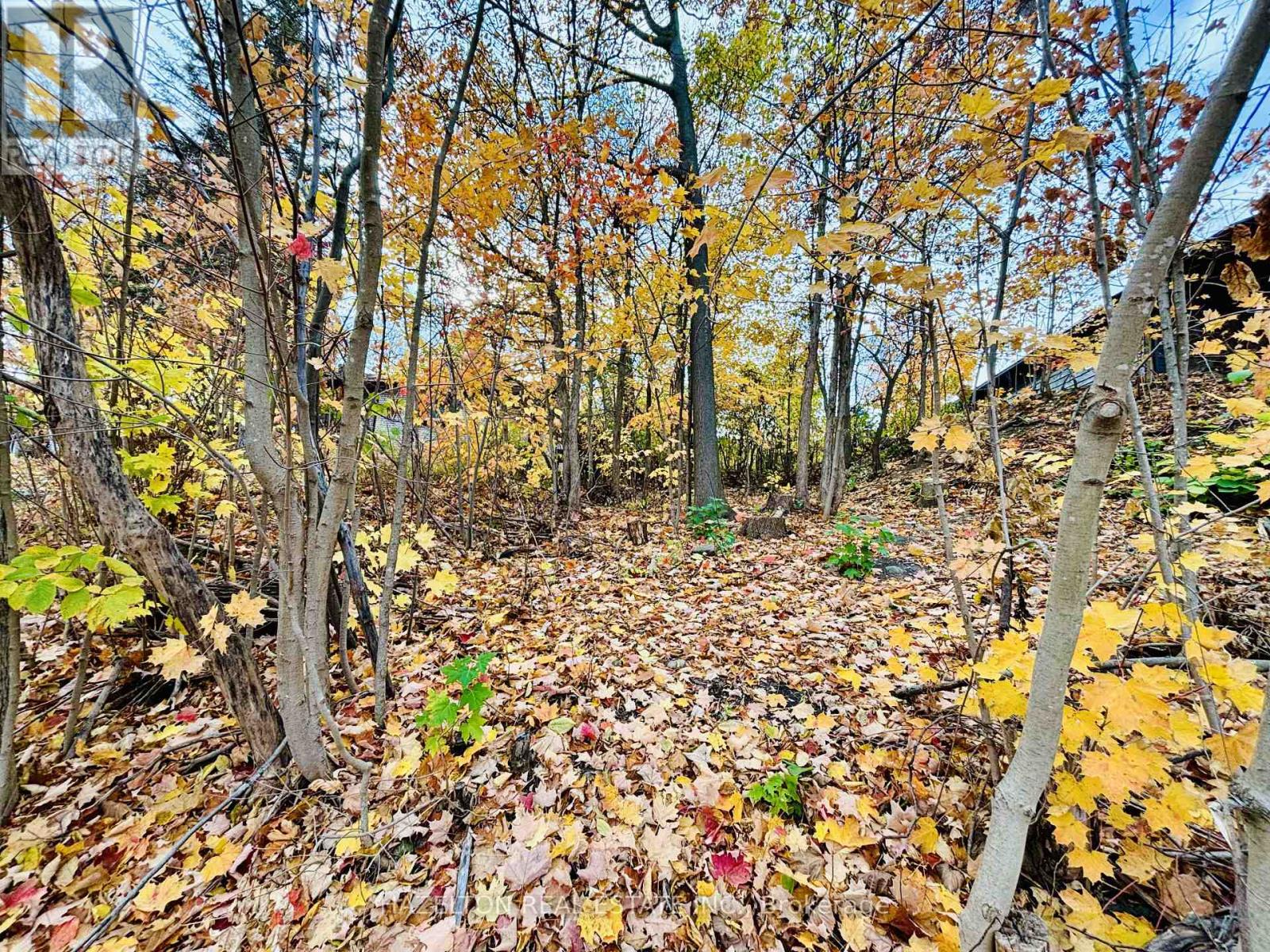 554 Barnes Avenue, Tay (Port Mcnicoll), Ontario  L0K 1R0 - Photo 4 - S12925242