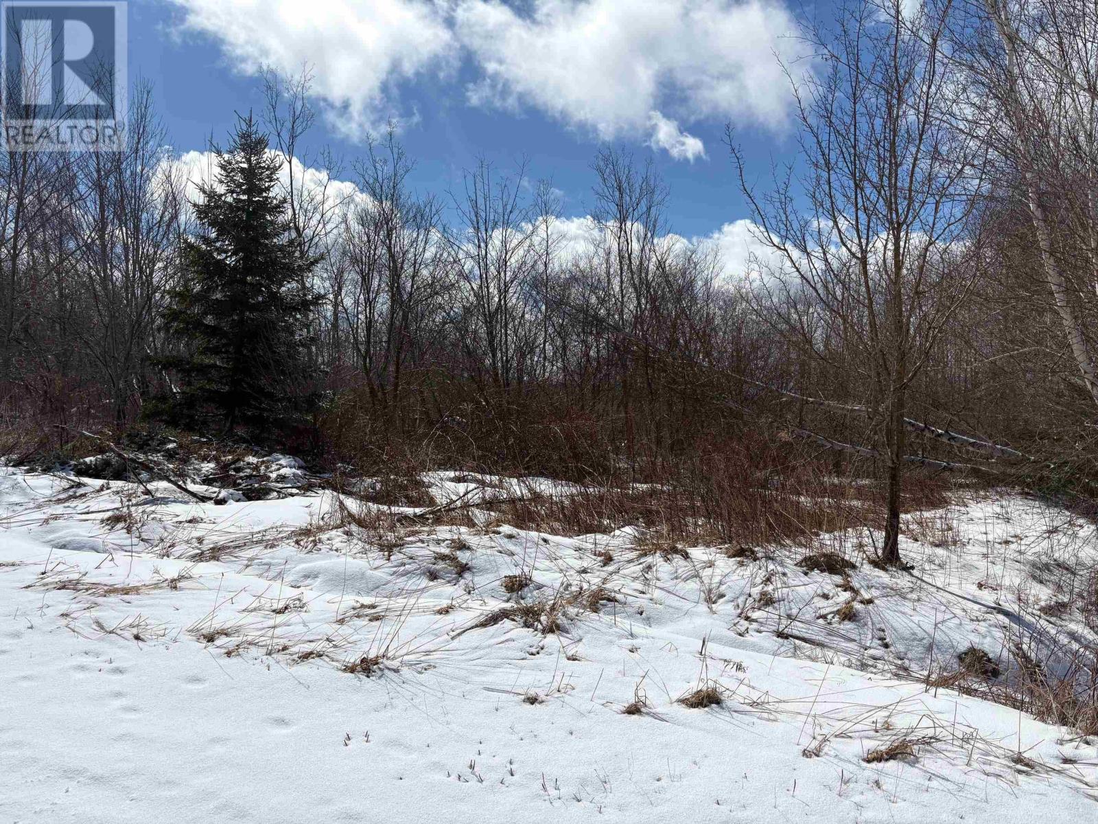 Lot - Oak Street, Trenton, Nova Scotia  B0K 1X0 - Photo 3 - 202605492