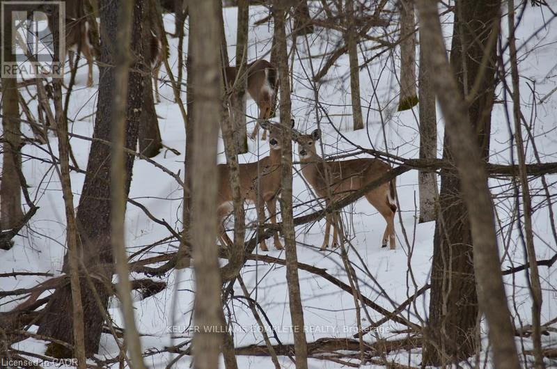 56 Kirby Avenue, Hamilton (Greensville), Ontario  L9H 6H7 - Photo 50 - X12925132