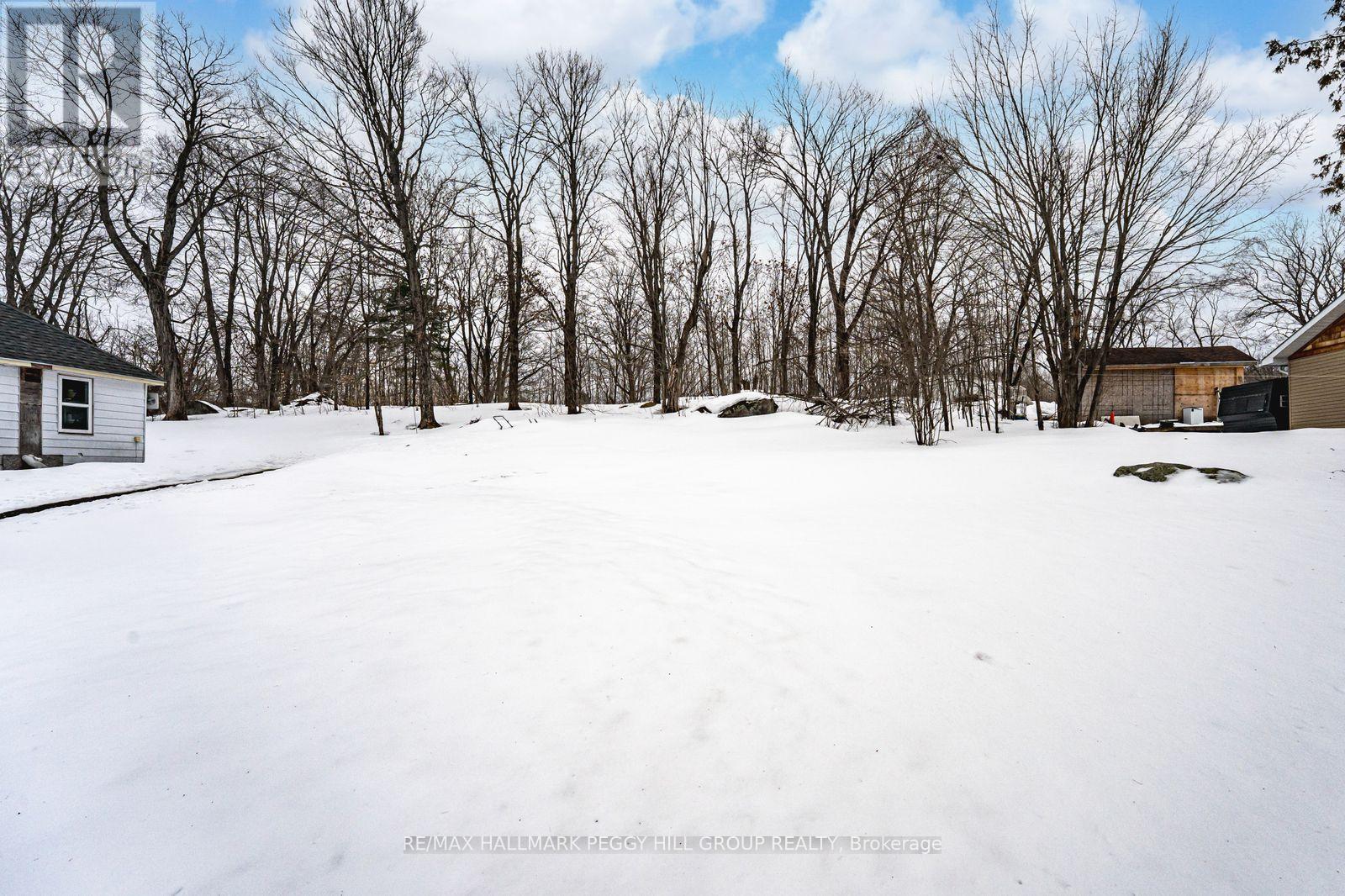 253 High Street, Georgian Bay (Freeman), Ontario  P0C 1H0 - Photo 3 - X12925134
