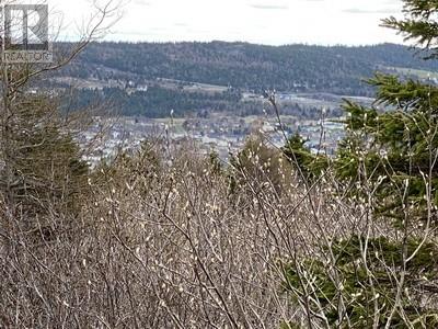 173A Highway East, Victoria, Newfoundland & Labrador