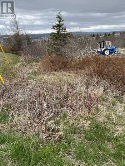 173a Highway East, Victoria, Newfoundland & Labrador A0A 4G0 - Photo 2 - 1295605