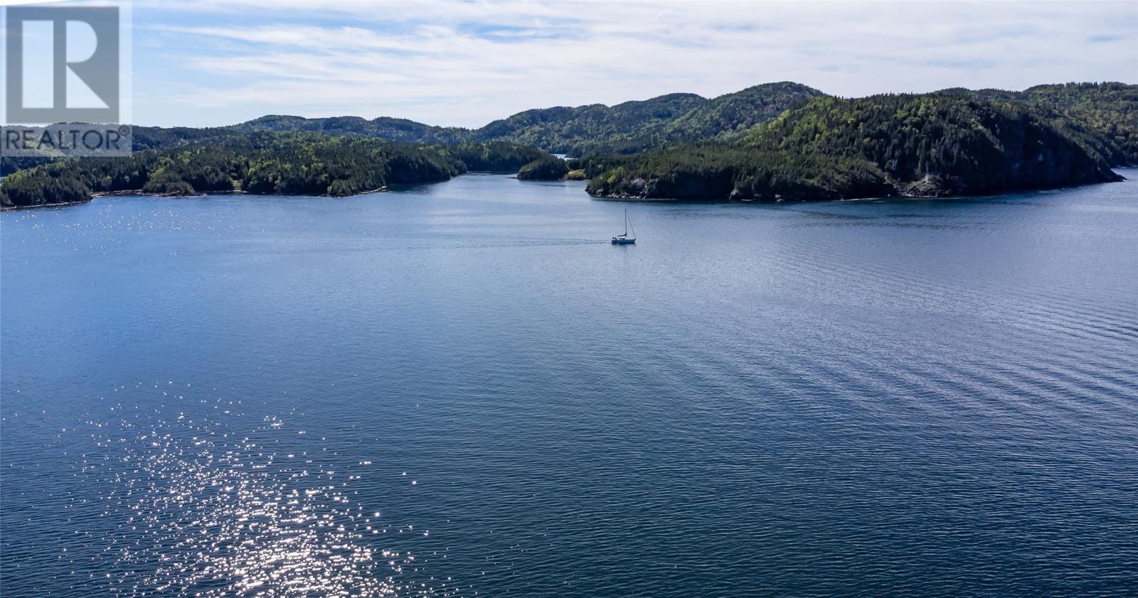 485 Main Street, Triton, Newfoundland & Labrador  A0J 1V0 - Photo 12 - 1295602