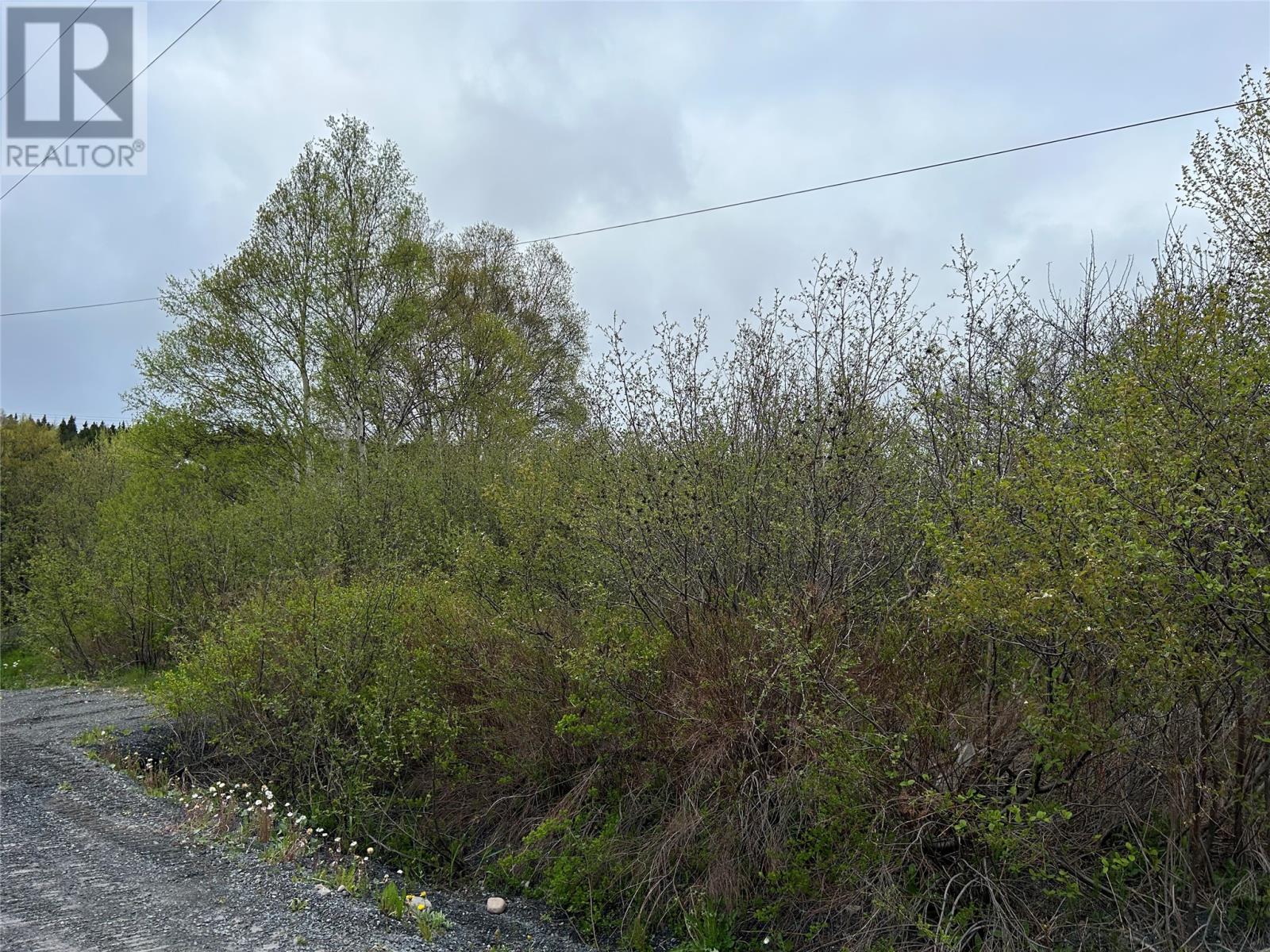 7 Beach Road, Clarenville, Newfoundland & Labrador  A5A 4C9 - Photo 4 - 1272638