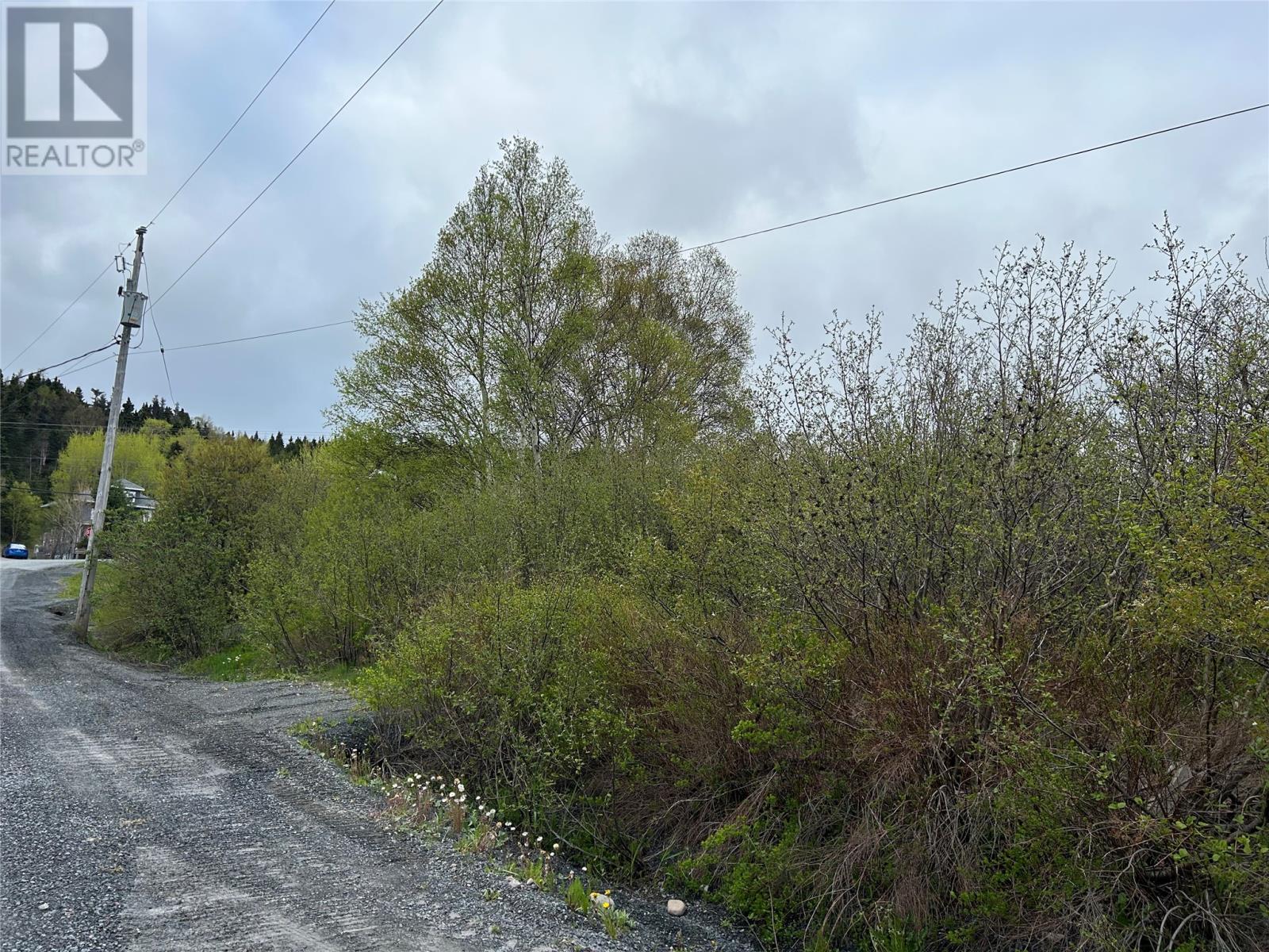 7 Beach Road, Clarenville, Newfoundland & Labrador  A5A 4C9 - Photo 5 - 1272638