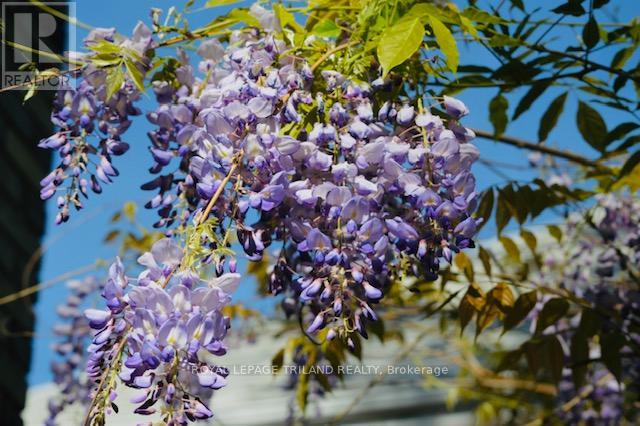 Photo 25 of 28 for 54 Elysian Street