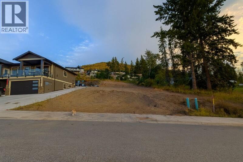 1060 16 Avenue Se, Salmon Arm, British Columbia  V1E 0H4 - Photo 3 - 10380032