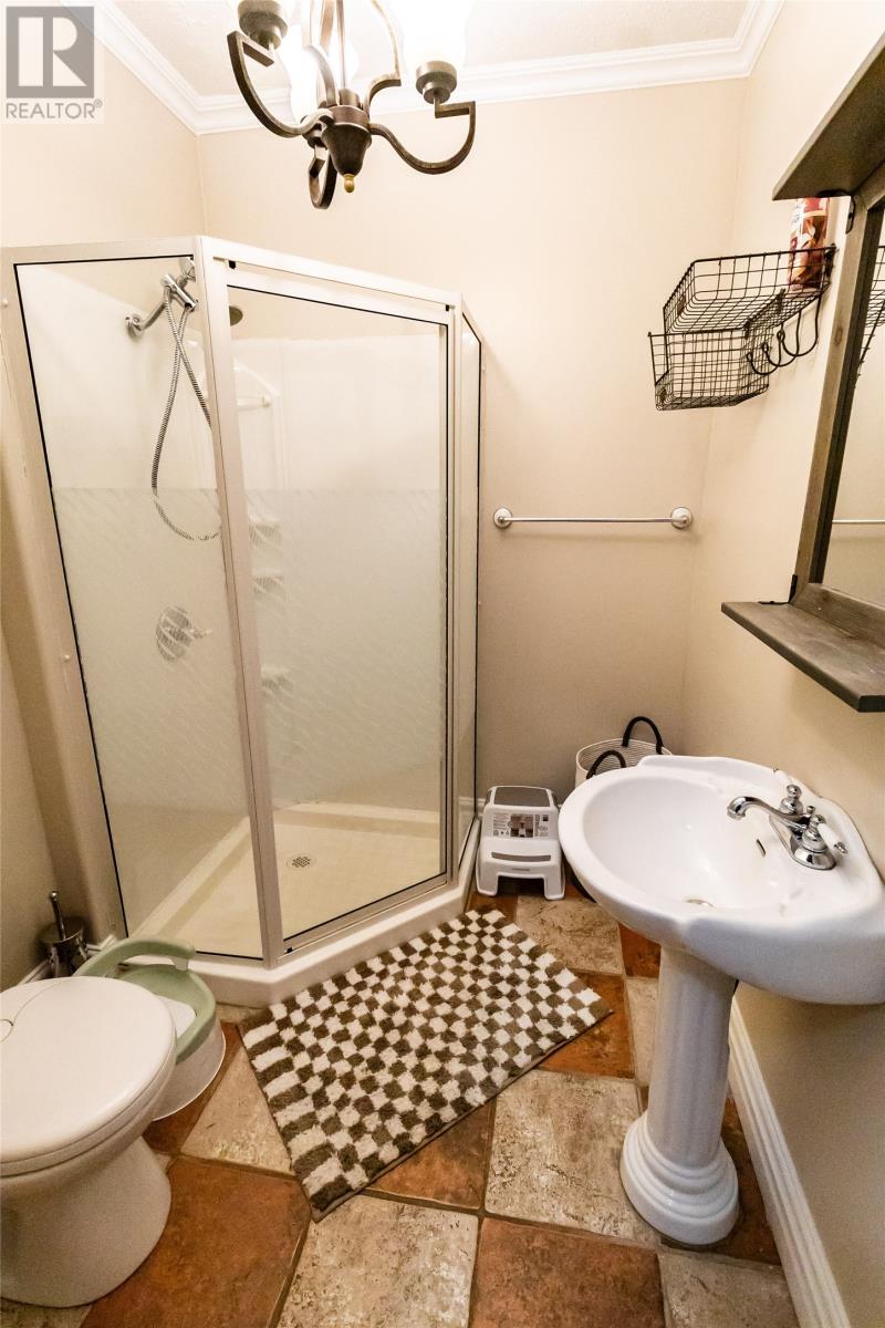 12 Upper Nicholsville Road, Deer Lake, Newfoundland & Labrador  A8A 1E9 - Photo 19 - 1295534