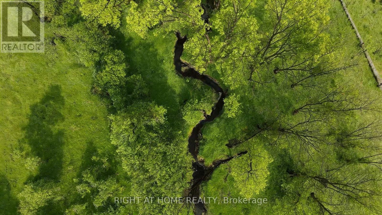 3850 Kinsale Road, Pickering, Ontario  L1Y 1E2 - Photo 4 - E12925496