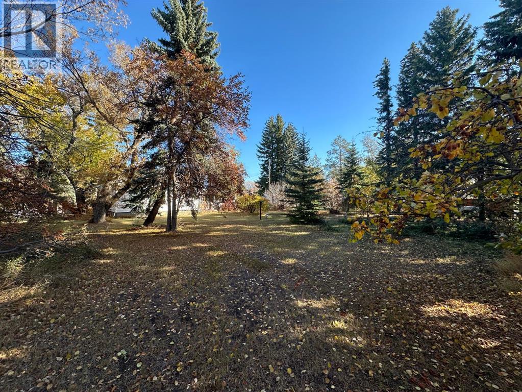 4819 50th Alley N, Amisk, Alberta  T0B 0B0 - Photo 19 - A2267400