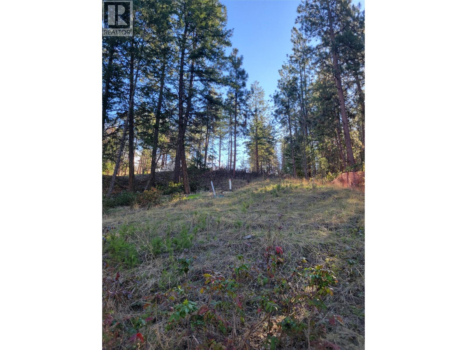 5550 Finch Road, Lake Country, British Columbia  V4V 1M9 - Photo 17 - 10334018