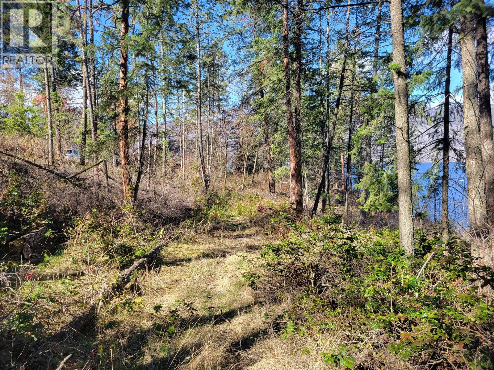 5550 Finch Road, Lake Country, British Columbia  V4V 1M9 - Photo 22 - 10334018