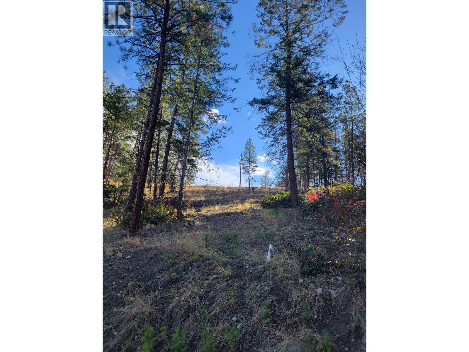 5550 Finch Road, Lake Country, British Columbia  V4V 1M9 - Photo 16 - 10334018