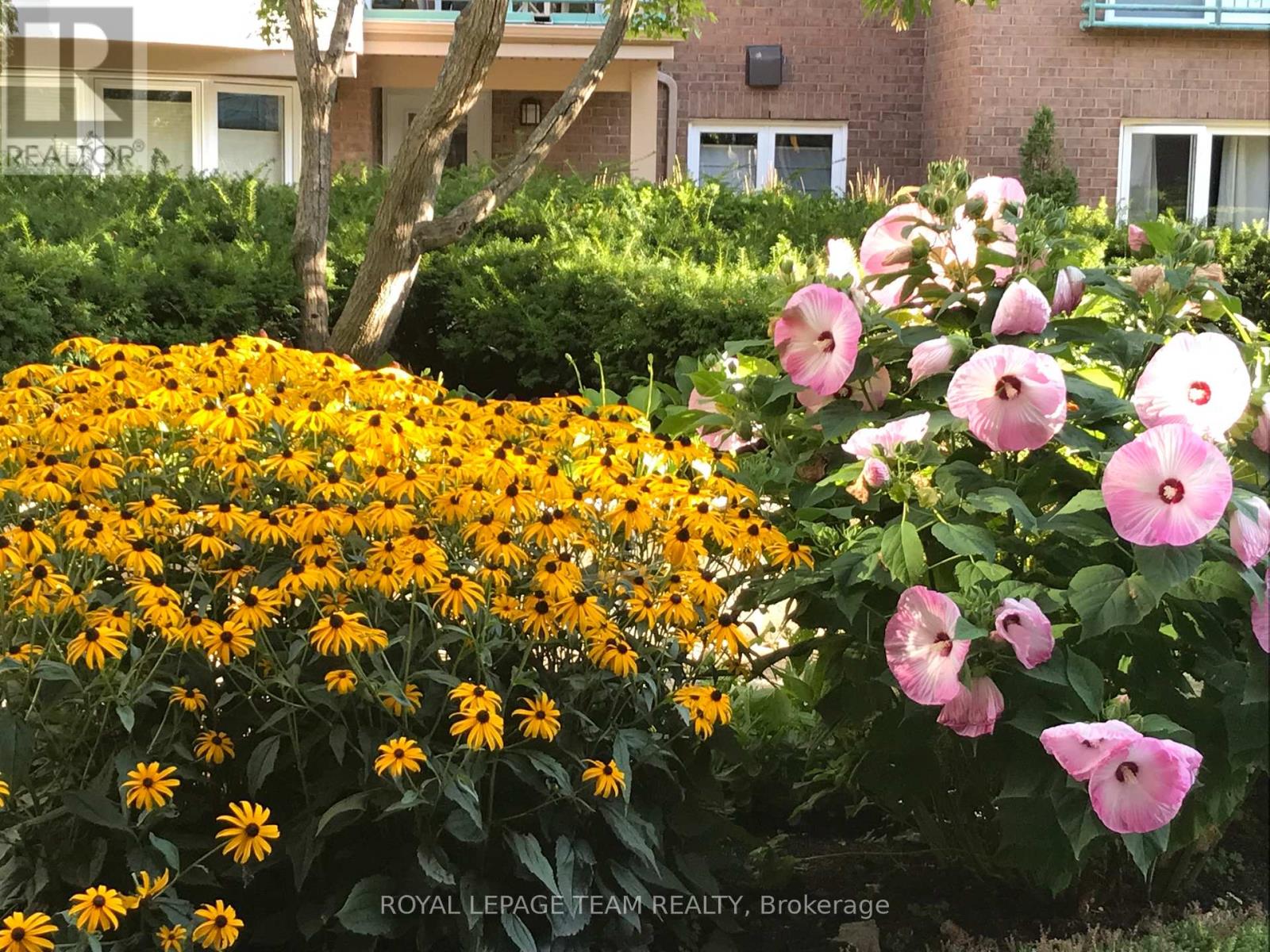 202a - 62 Donald Street, Ottawa, Ontario  K1K 1N2 - Photo 33 - X12925722