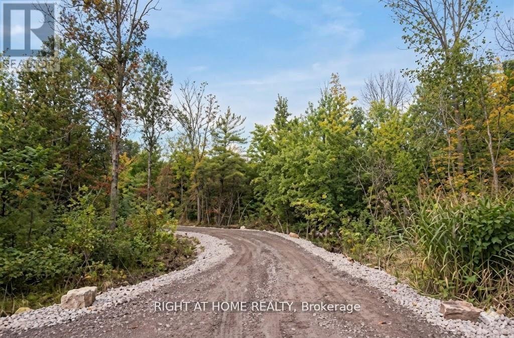 2525 Greenwood Road, Ajax, Ontario L1T 4S5 - Photo 2 - E12925666