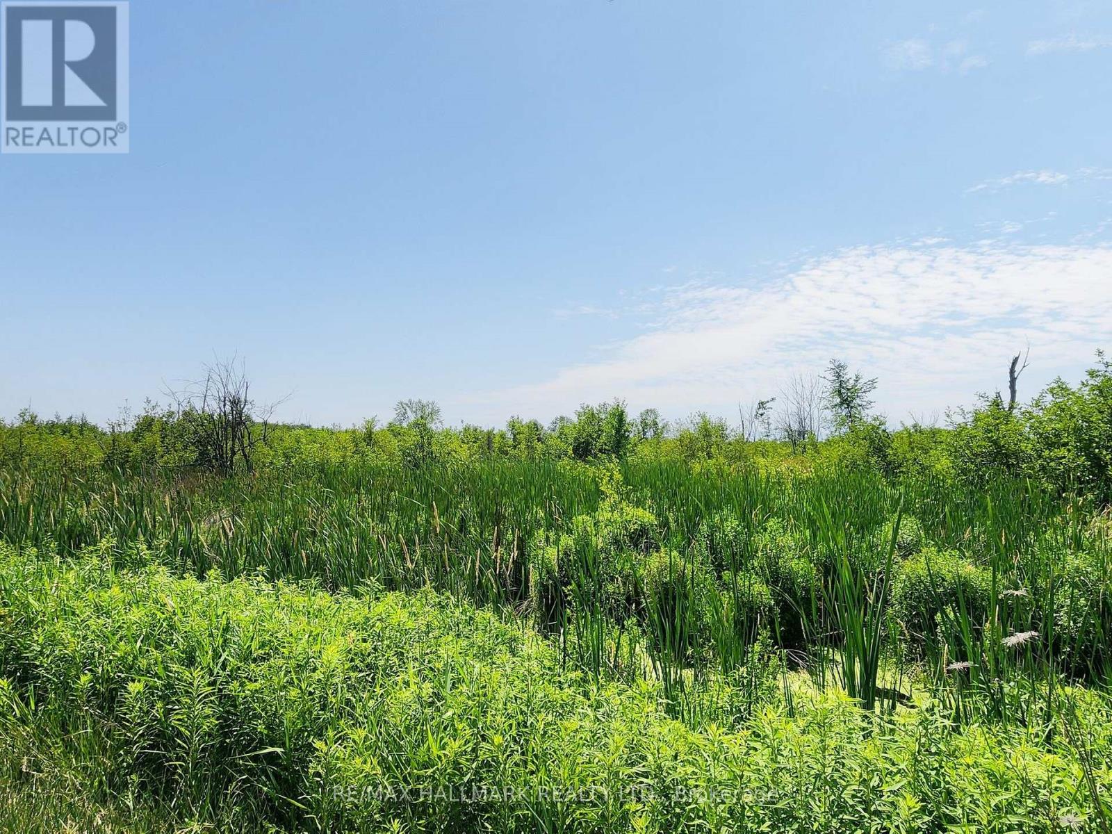 20200 HIGHWAY 48, East Gwillimbury, Ontario