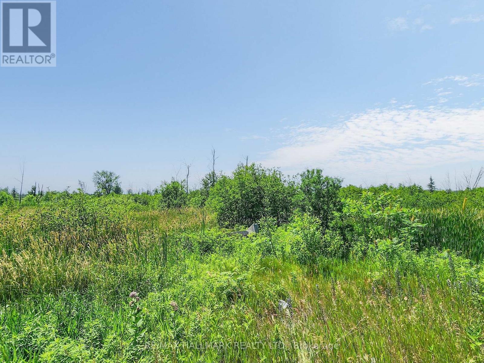 20200 Highway 48, East Gwillimbury, Ontario  L0G 1M0 - Photo 2 - N12925656