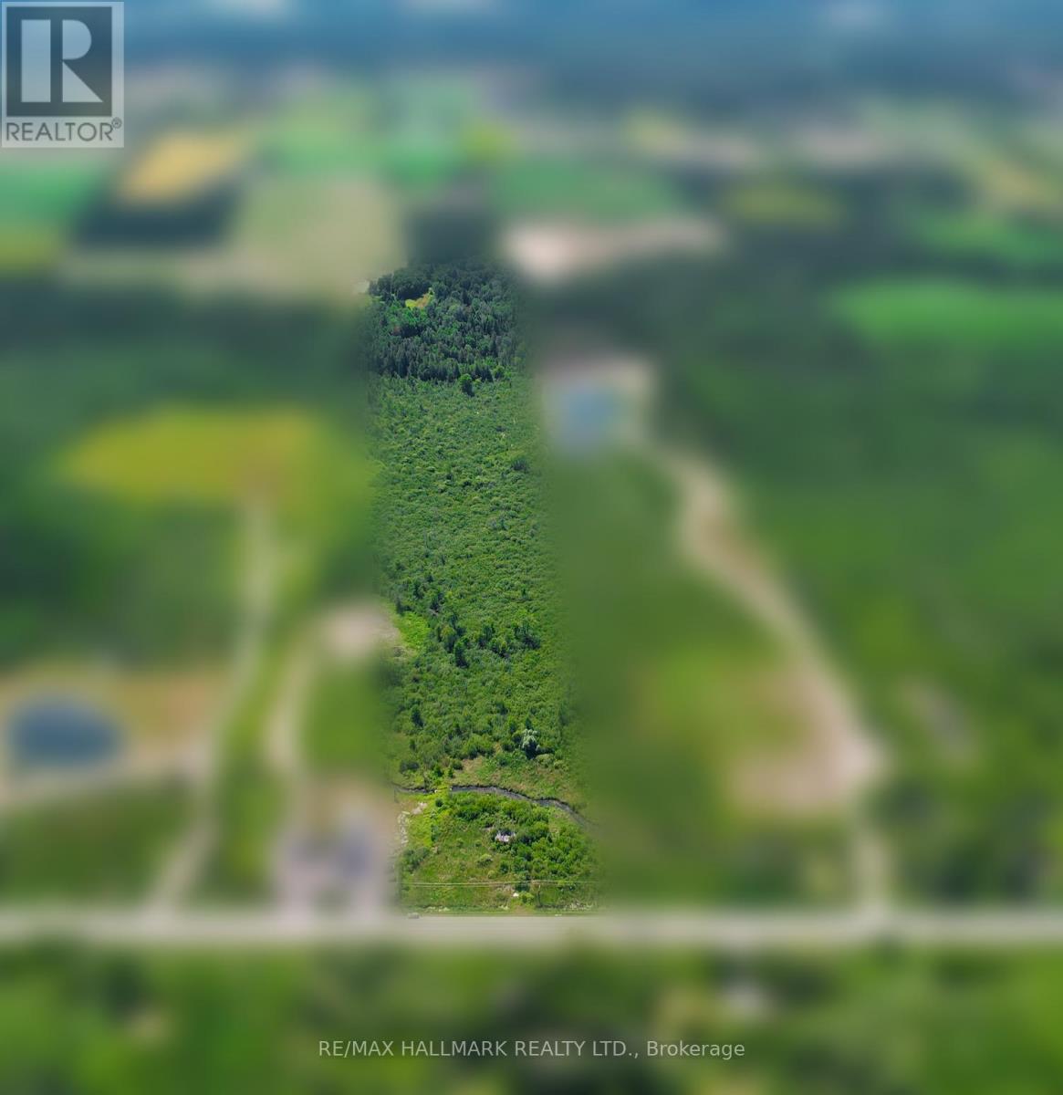 20200 Highway 48, East Gwillimbury, Ontario  L0G 1M0 - Photo 3 - N12925656