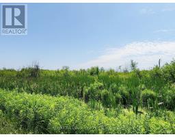 20200 HIGHWAY 48, East Gwillimbury, Ontario