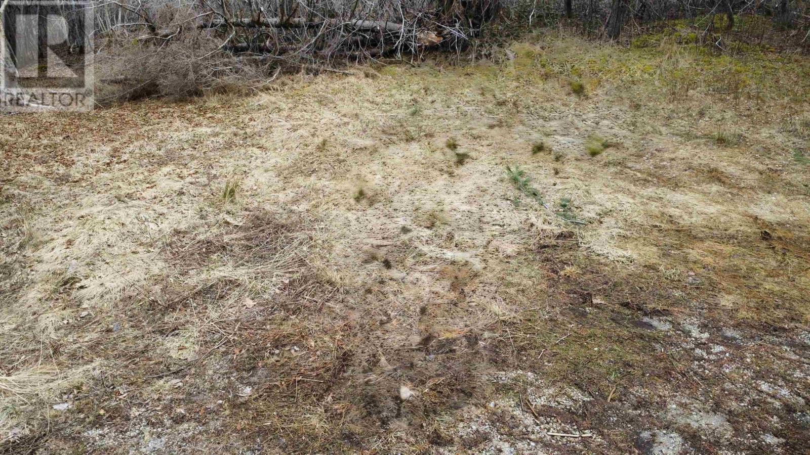 52 Adelia Road, Gold River, Nova Scotia B0J 1K0 - Photo 16 - 202507881