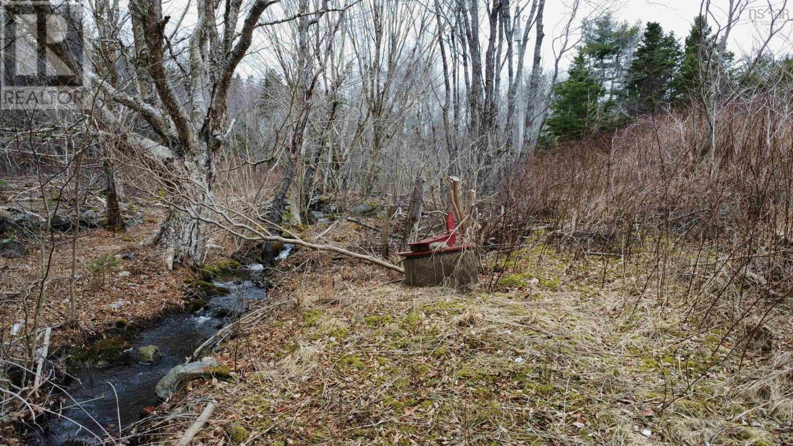 52 Adelia Road, Gold River, Nova Scotia B0J 1K0 - Photo 20 - 202507881