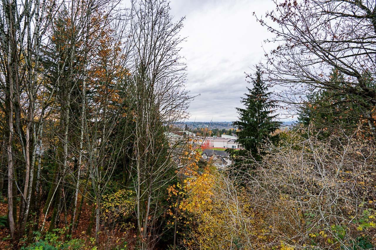 3669 Bulkley Street, Abbotsford, British Columbia  V2S 7H3 - Photo 35 - R3103971