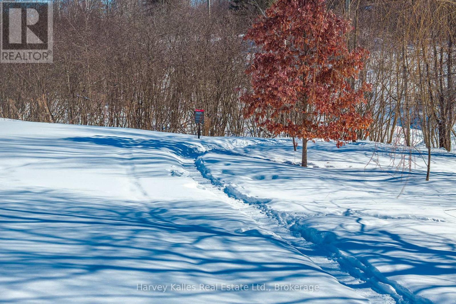 29 Glenwood Drive, Huntsville, Ontario  P1H 1B6 - Photo 35 - X12822100