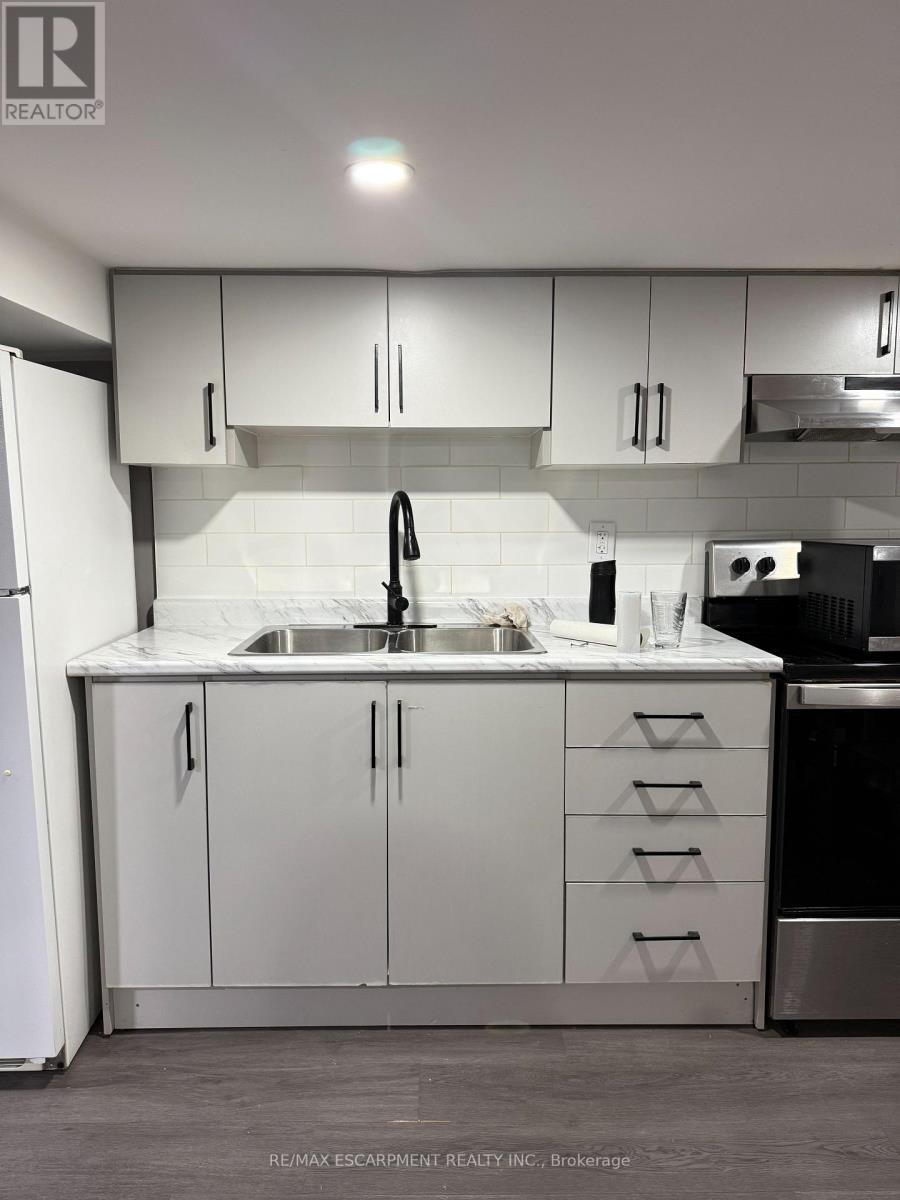 Lower - 22 Graham Avenue N, Hamilton, Ontario  L8H 4J7 - Photo 14 - X12809304