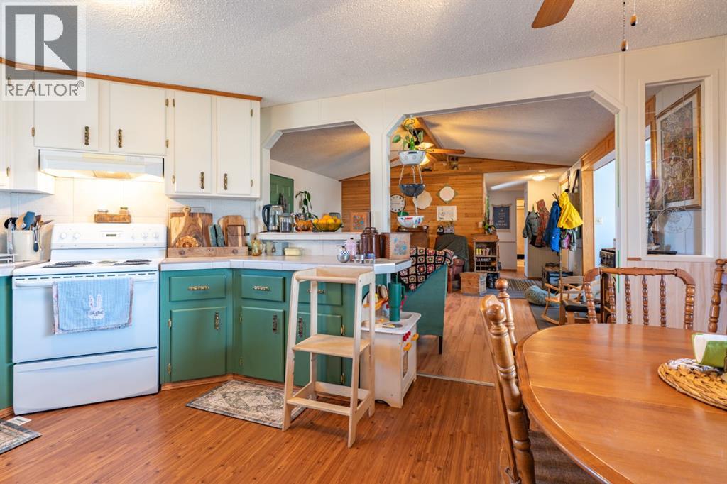 257 Leonard Street, Seven Persons, Alberta  T0K 1Z0 - Photo 10 - A2296091