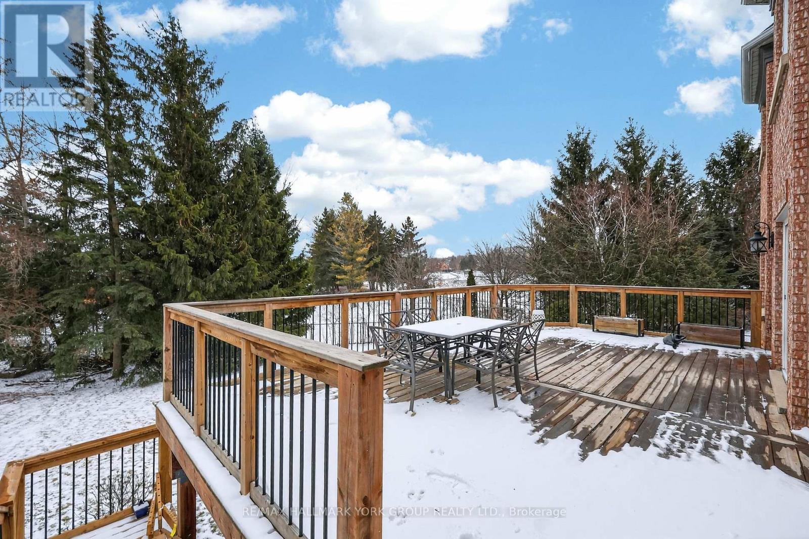 290 Binns Avenue, Newmarket, Ontario  L3X 1T6 - Photo 21 - N12925916