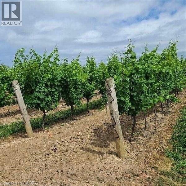 1074 Niagara Stone Road, Niagara-On-The-Lake, Ontario  L0S 1J0 - Photo 3 - 40814998