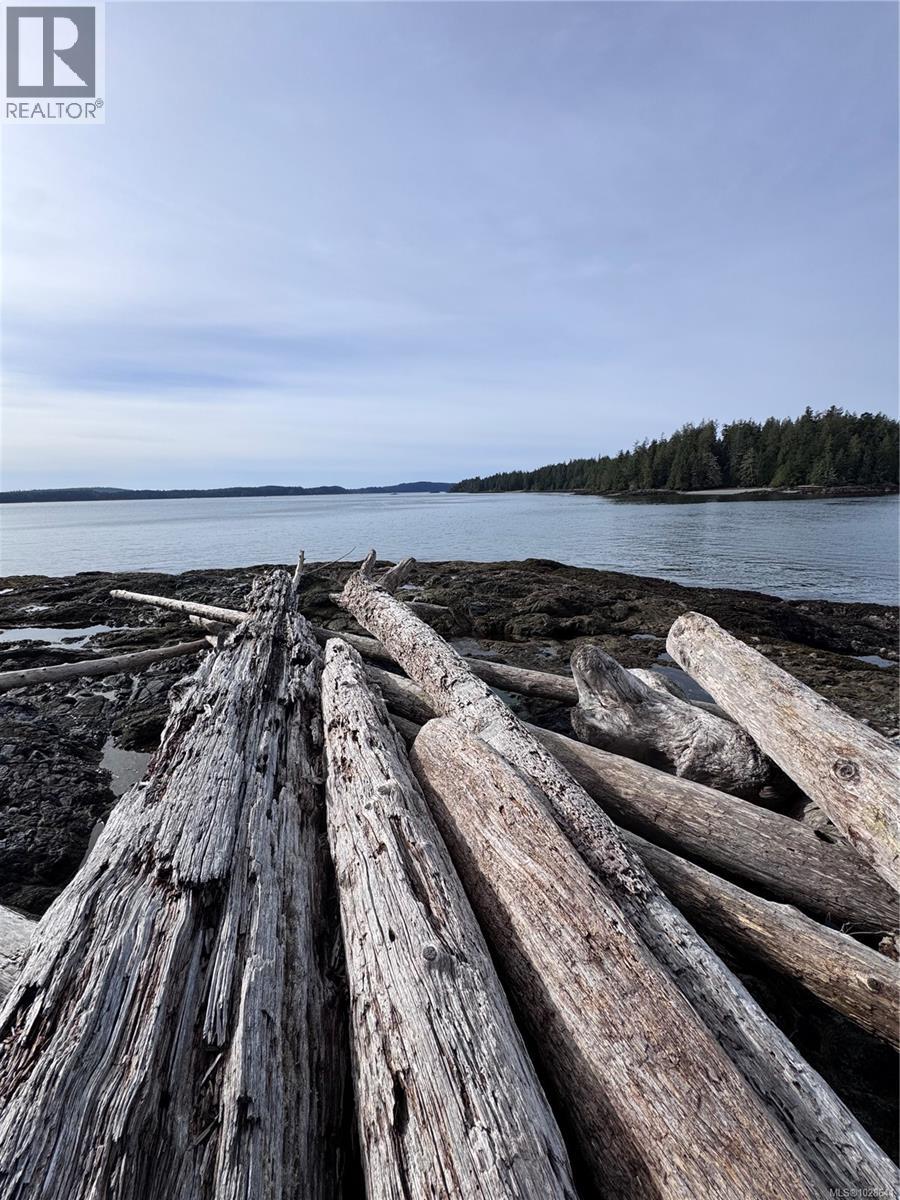 Lot 3 Helby Island, Port Alberni, British Columbia  V0R 1B0 - Photo 9 - 1028641