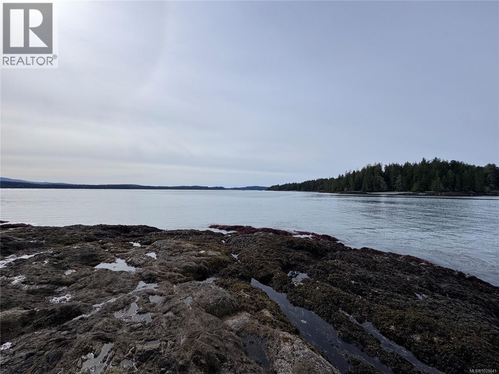 Lot 3 Helby Island, Port Alberni, British Columbia  V0R 1B0 - Photo 16 - 1028641