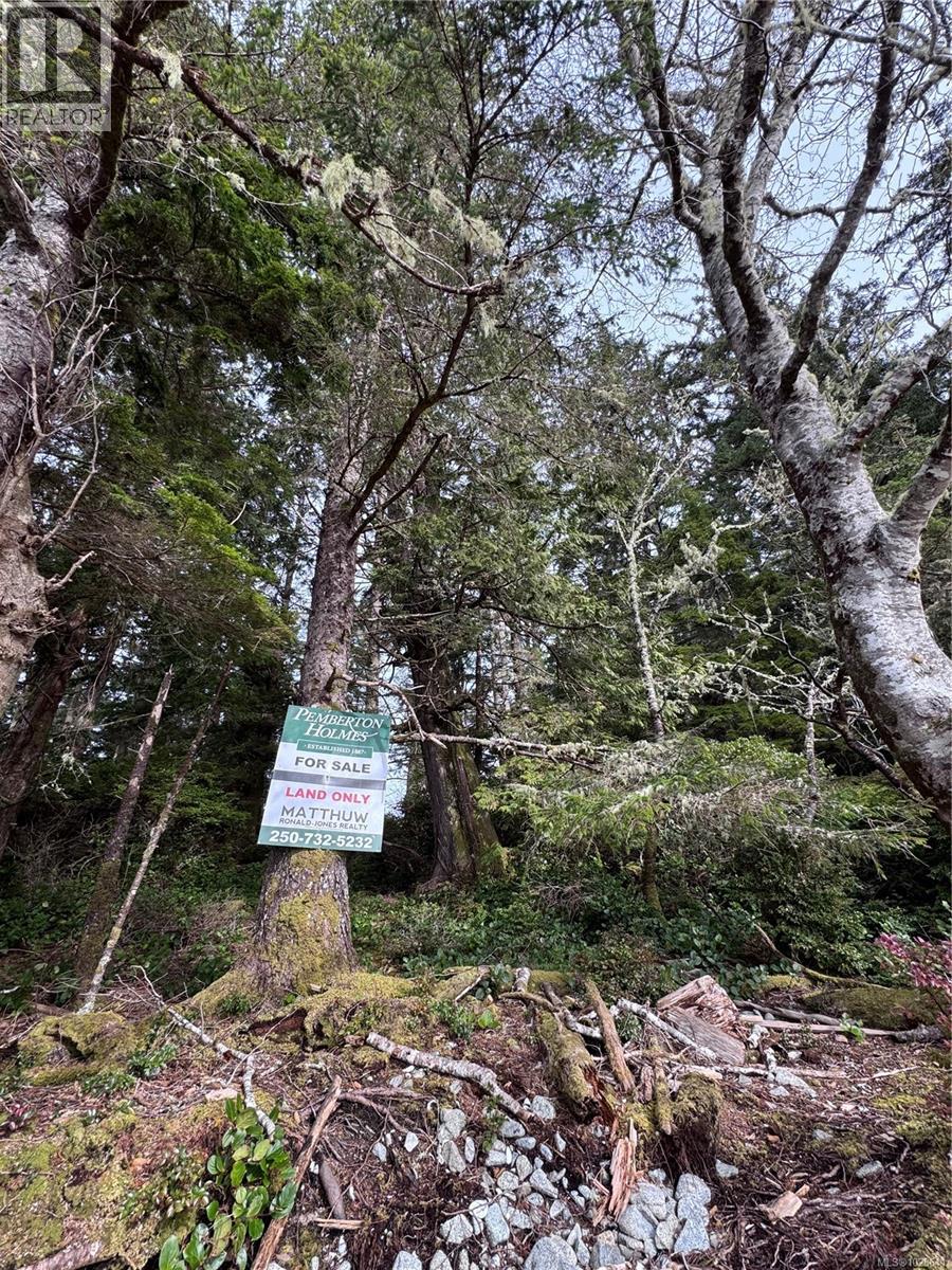 Lot 3 Helby Island, Port Alberni, British Columbia  V0R 1B0 - Photo 14 - 1028641