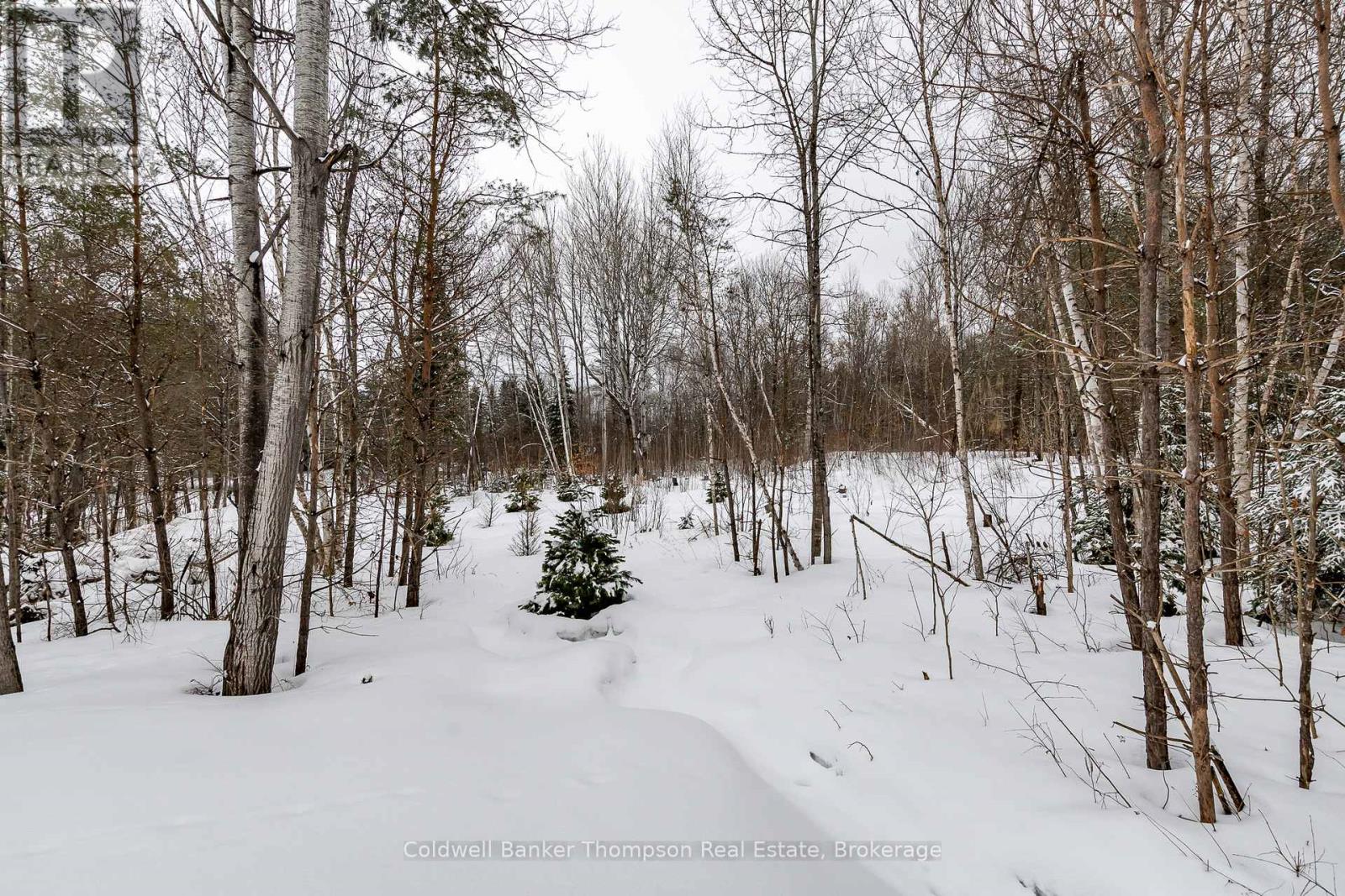 43 Bethune Road N, Huntsville, Ontario P1H 2J2 - Photo 43 - X12926162