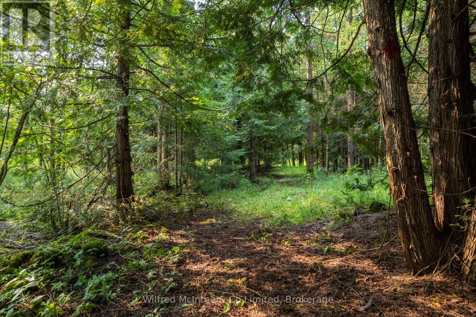 574461 Sideroad 40, West Grey, Ontario  N0C 1H0 - Photo 41 - X12926210