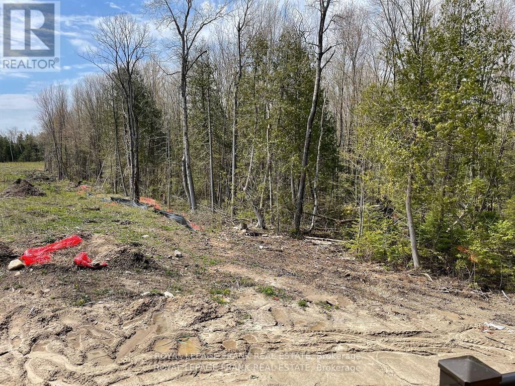 580 Patterson Road, Kawartha Lakes, Ontario  K0M 1N0 - Photo 33 - X12926200