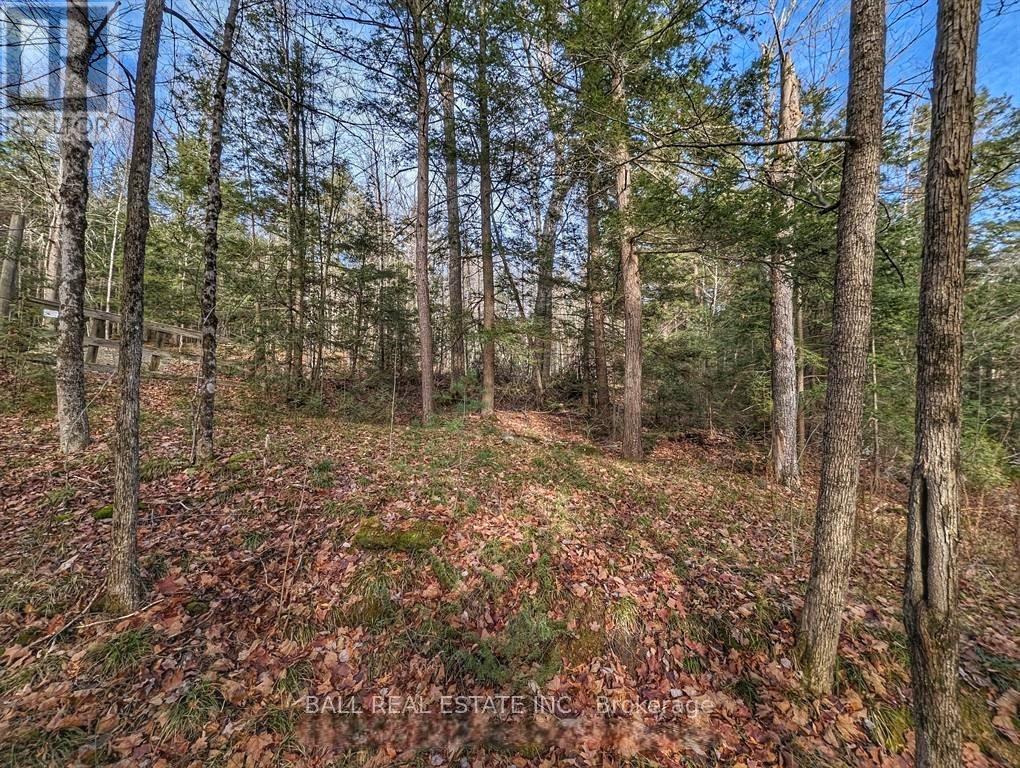 Lorem Ipsum Dolor Sit, Havelock-Belmont-Methuen, Ontario  K0L  - Photo 13 - DEMO29522043