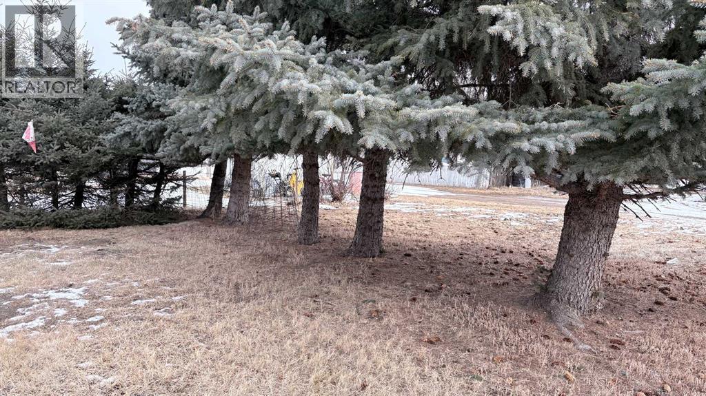 105 4th Street W, Foremost, Alberta  T0K 0X0 - Photo 26 - A2282972