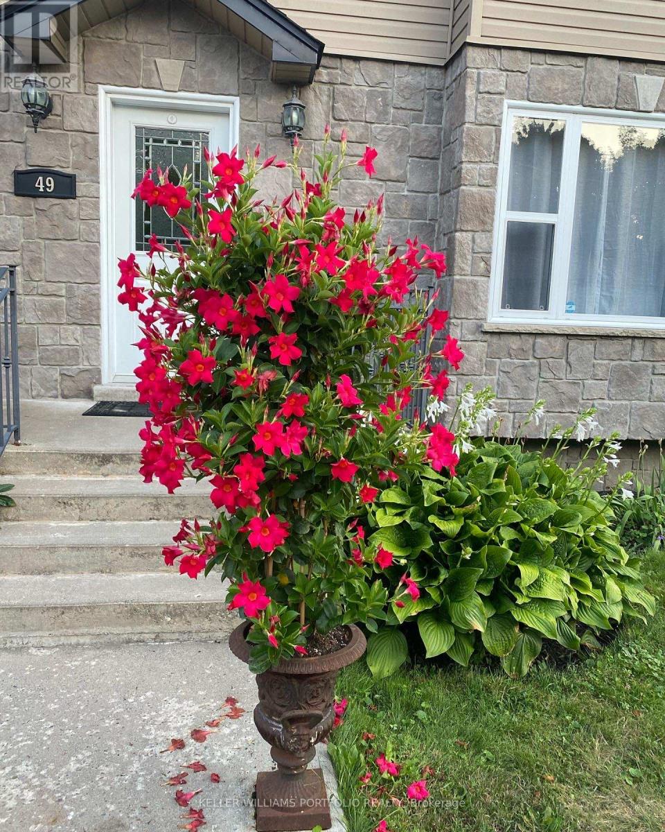 49 Dolphin Drive, Toronto, Ontario  M1L 1N5 - Photo 2 - E12922960