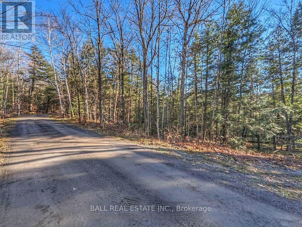 Lorem Ipsum Dolor Sit, Havelock-Belmont-Methuen, Ontario  K0L  - Photo 15 - DEMO29522043