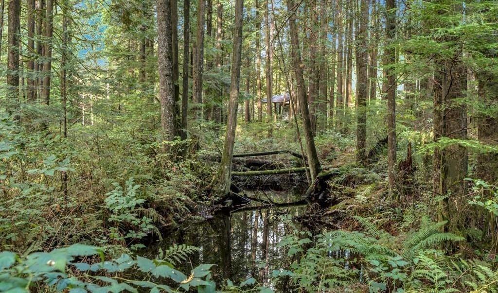 12712 Cathy Crescent, Mission, British Columbia V4S 1C8 - Photo 22 - R3087620