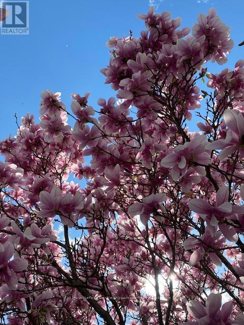 81 Hart Boulevard, Clarington, Ontario  L1B 1E4 - Photo 37 - E12925486