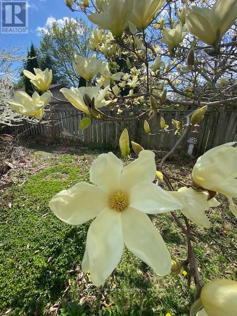 81 Hart Boulevard, Clarington, Ontario  L1B 1E4 - Photo 38 - E12925486