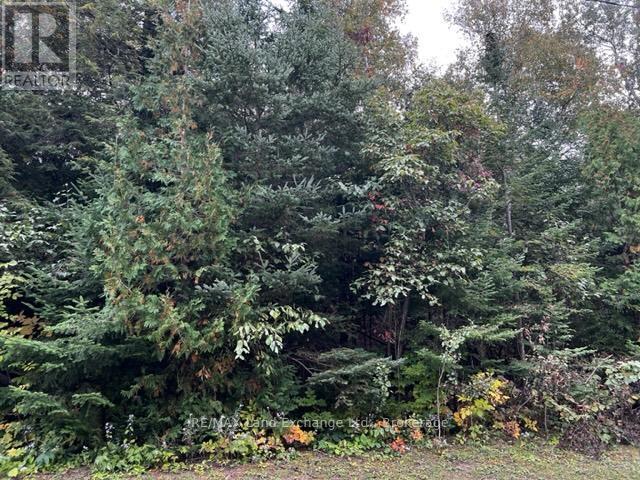 4 Shore Road, Saugeen Shores, Ontario  N0H 2L0 - Photo 3 - X12926600